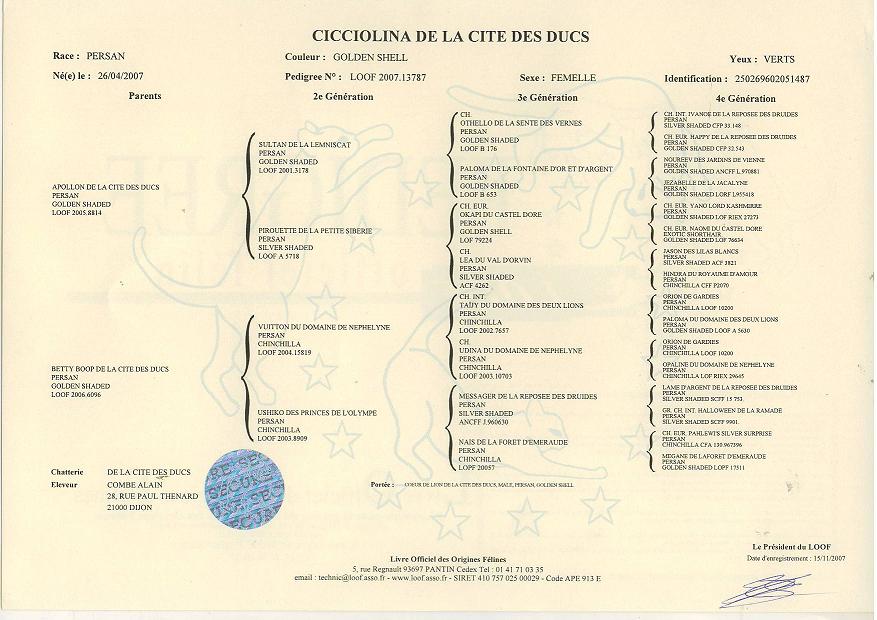 P�digr�e de Coeur de Lion