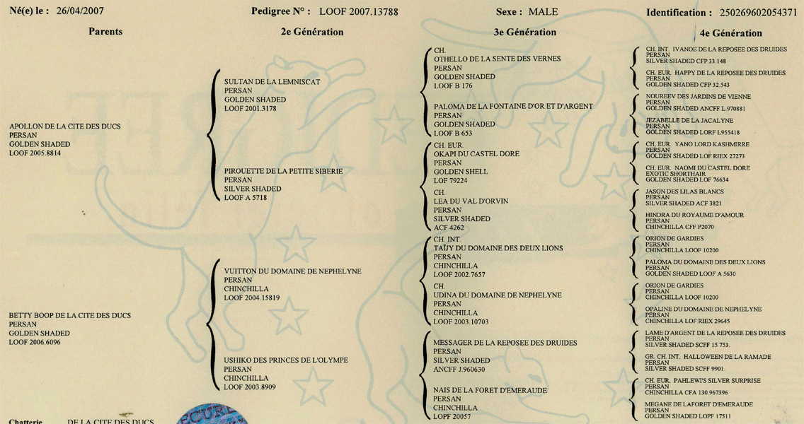 P�digr�e de Coeur de Lion