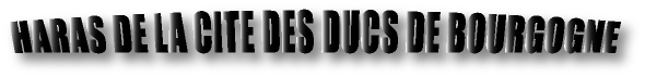 Haras de la Cit� des Ducs de Bourgogne