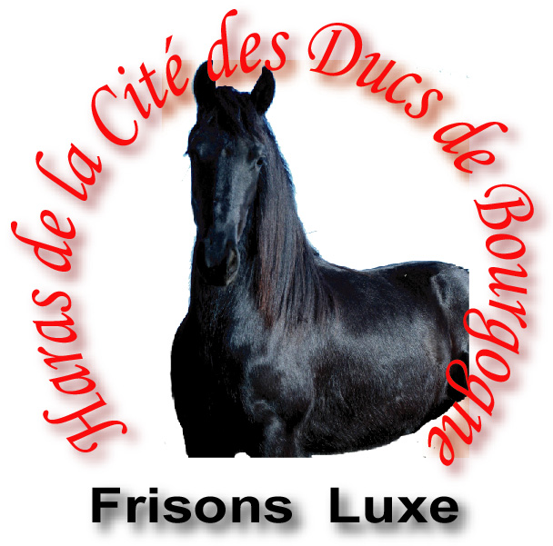 Cliquez sur la photo pour entrer