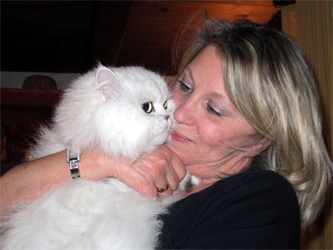 Photo de Chanel Persan Chinchilla