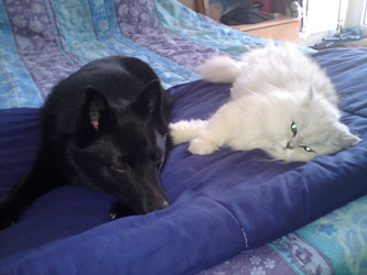 Photo de Daisy Persan Silver