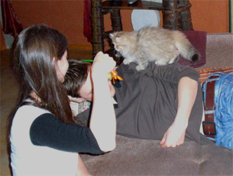 Photo de Elliot Persan golden