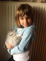 Photo de Haribo Persan Chinchilla